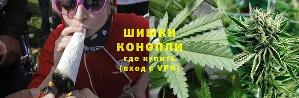 ПСИЛОЦИБИНОВЫЕ ГРИБЫ Горняк